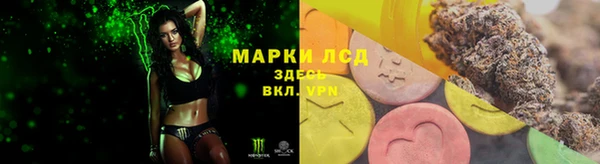 гидропоника Алзамай